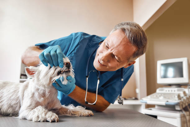 Best Emergency Tooth Extraction in Dumont, NJ
